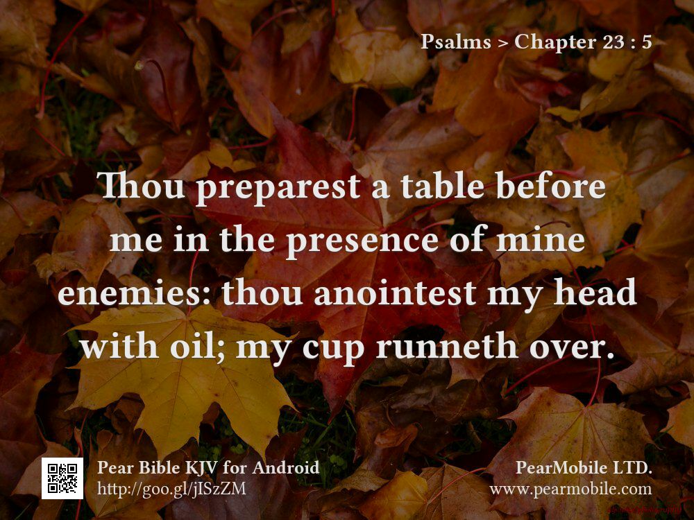 Psalms, Chapter 23:5